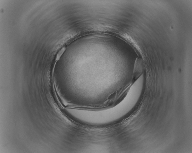 X0000088410581200706191424