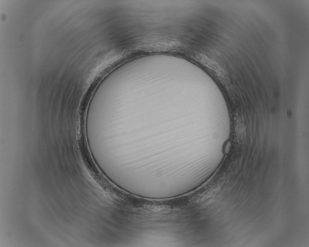 X0000088410582200706191424