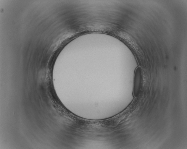 X0000088410583200706191424