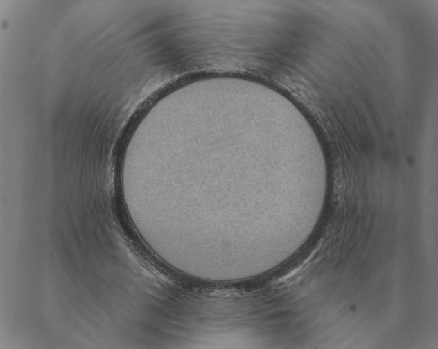 X0000088410584200706191424