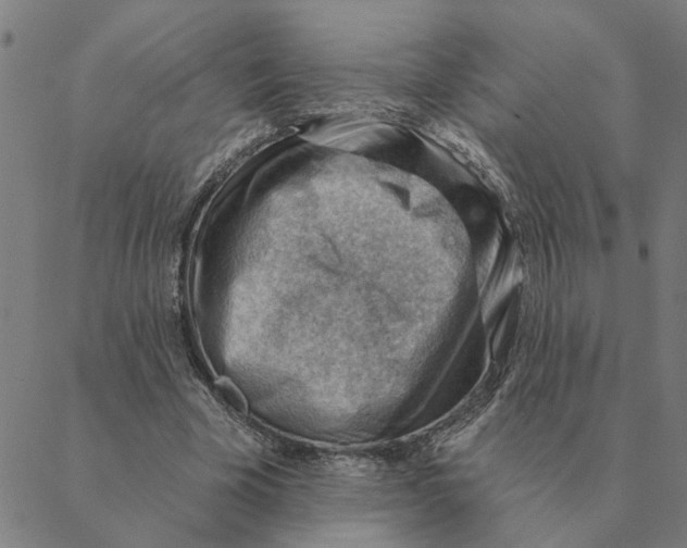 X0000088410585200706191424