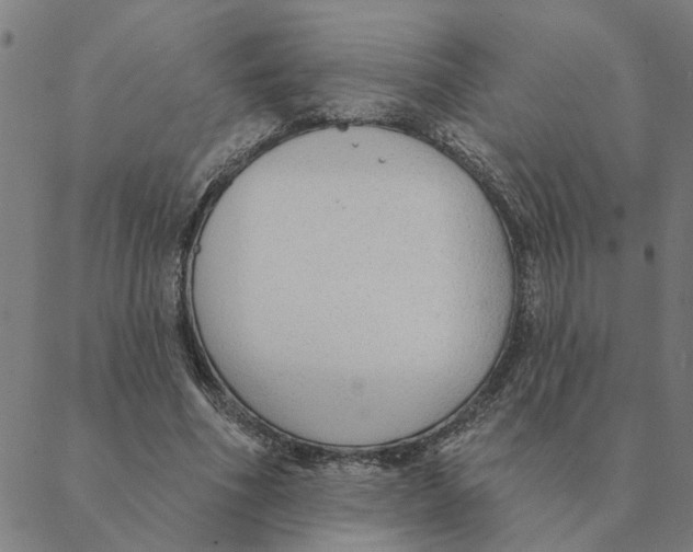 X0000088410586200706191424