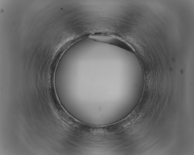 X0000088410587200706191424