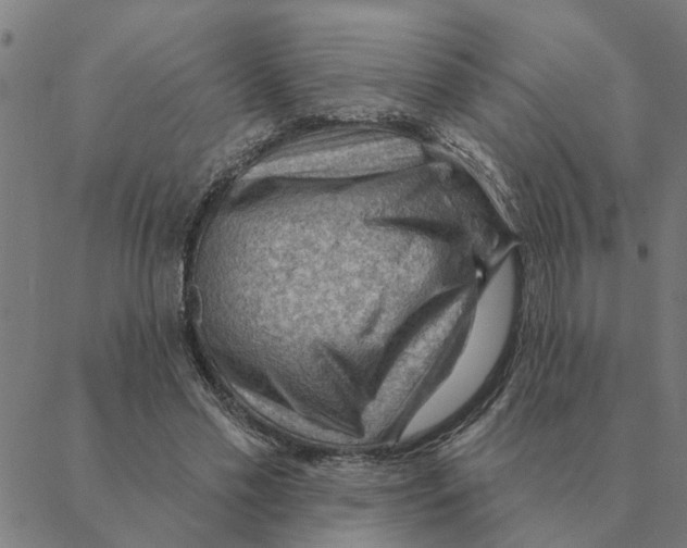 X0000088410589200706191424