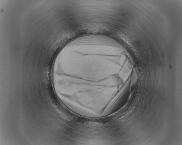 X0000088410590200706191424