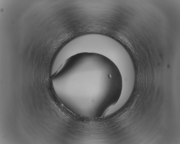 X0000088410593200706191424