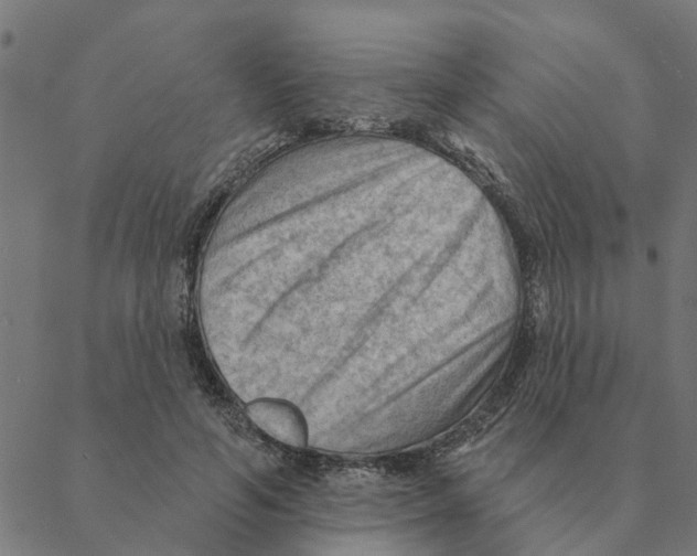 X0000088410594200706191424