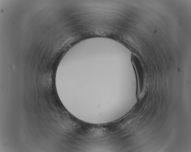 X0000088410595200706191424