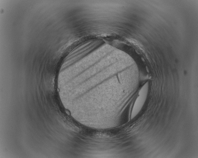 X0000088410596200706191424