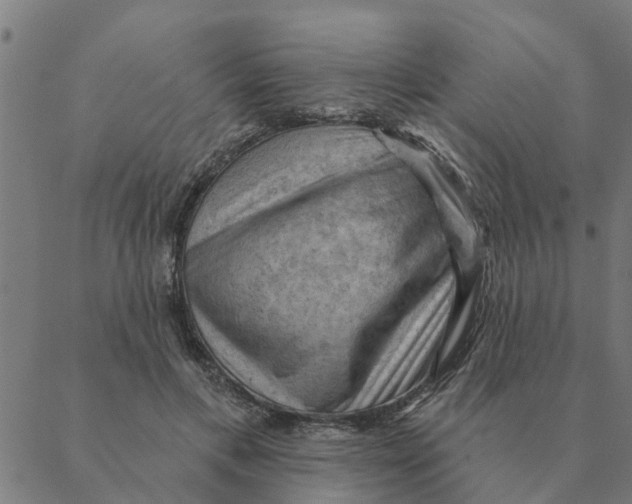 X0000088410597200706191424