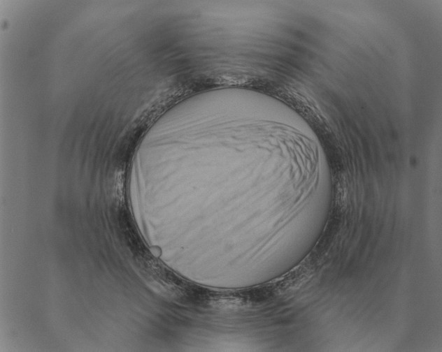 X0000088410598200706191424