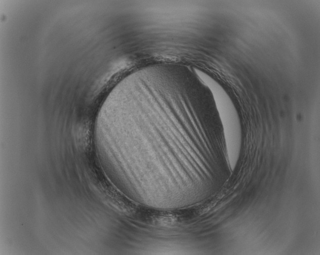 X0000088410600200706191424