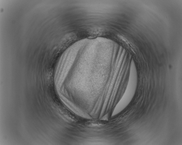 X0000088410601200706191424