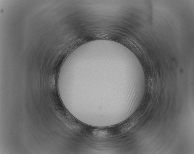 X0000088410602200706191424