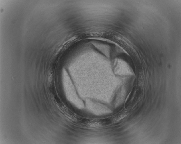 X0000088410604200706191424