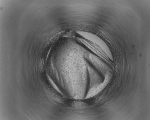 X0000088410605200706191424