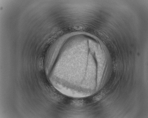 X0000088410606200706191424