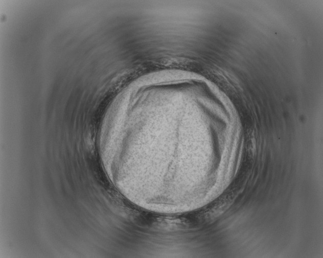 X0000088410607200706191424