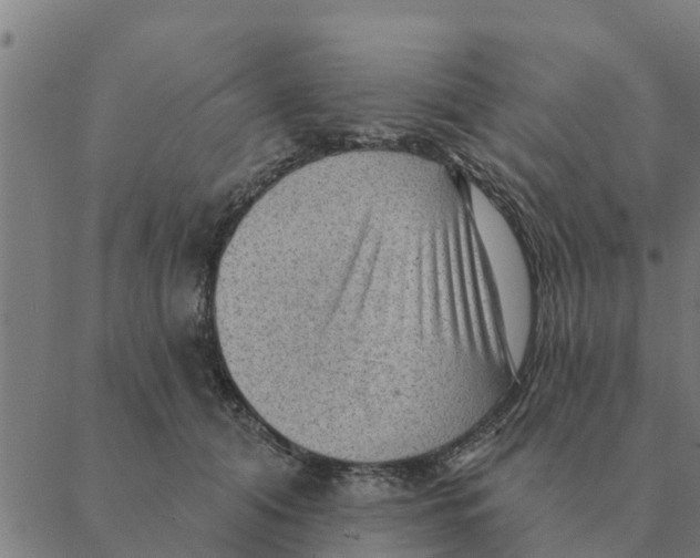 X0000088410608200706191424