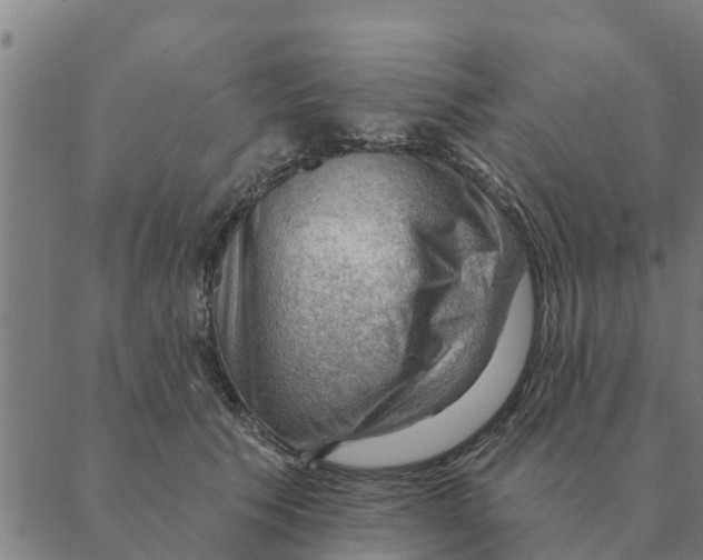 X0000088410609200706191424