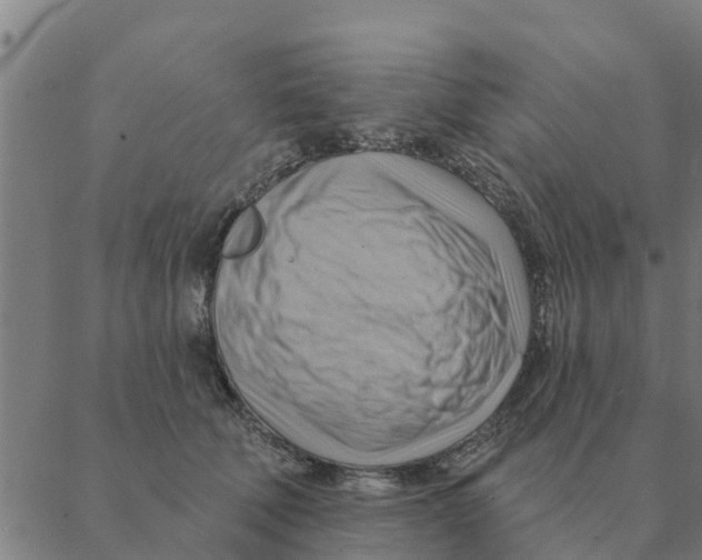 X0000088410610200706191424