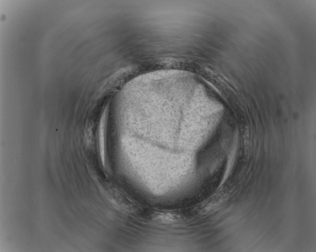 X0000088410611200706191424