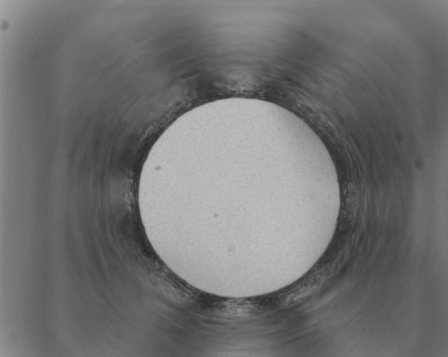 X0000088410612200706191424