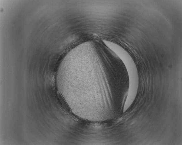 X0000088410613200706191424