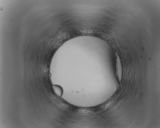 X0000088410614200706191424