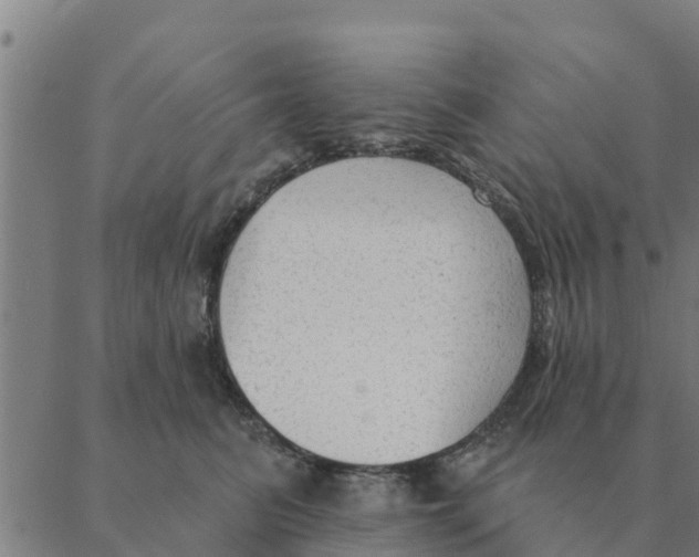 X0000088410615200706191424