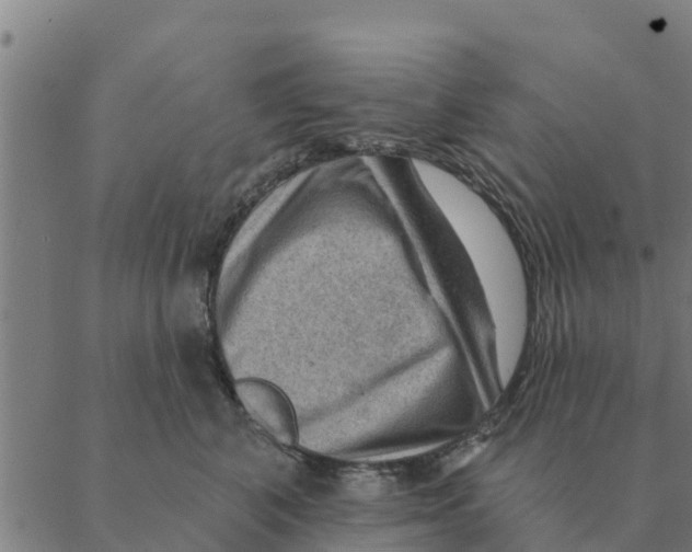 X0000088410616200706191424