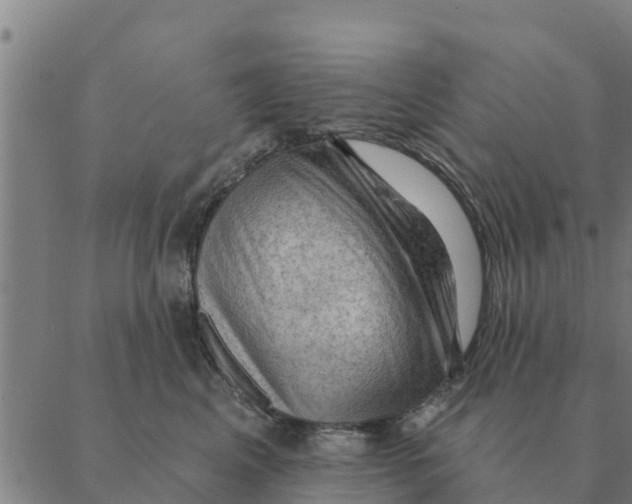 X0000088410617200706191424