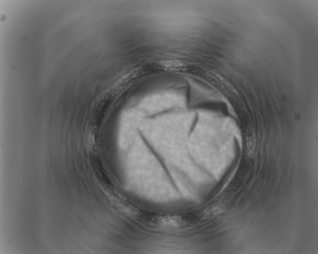 X0000088410618200706191424