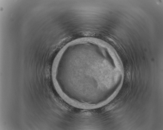 X0000088410620200706191424