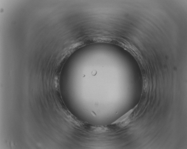 X0000088410621200706191424