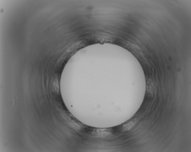 X0000088410622200706191424