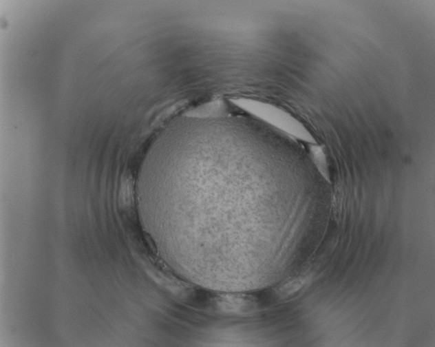 X0000088410623200706191424