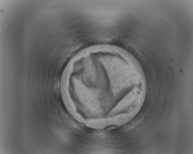 X0000088410624200706191424