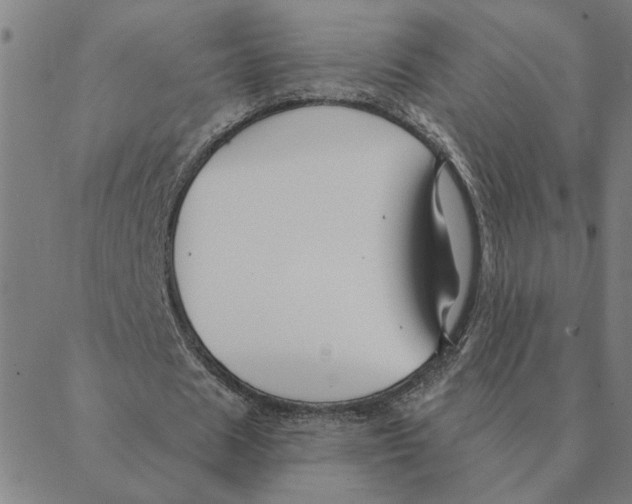 X0000088410625200706191423