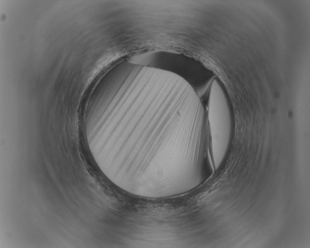 X0000088410626200706191423