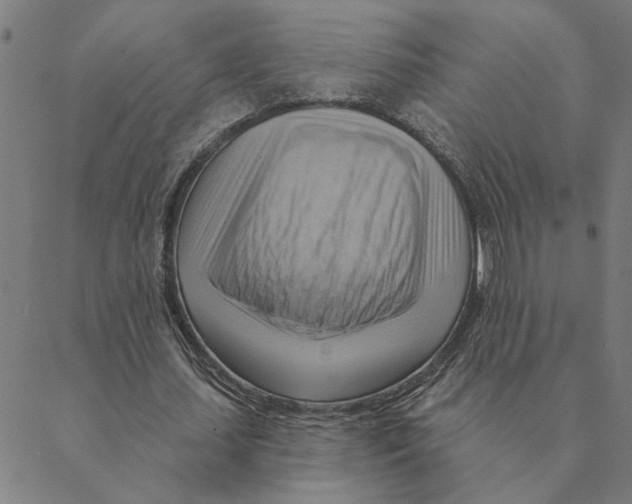 X0000088410627200706191423