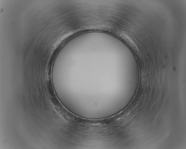 X0000088410628200706191423