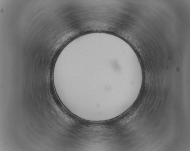 X0000088410629200706191423