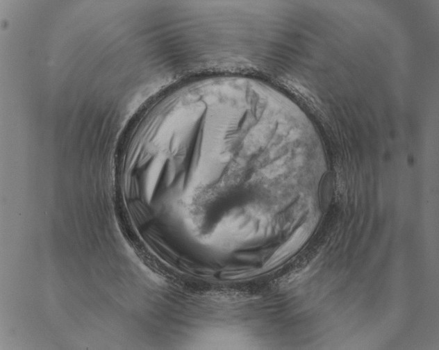 X0000088410630200706191423