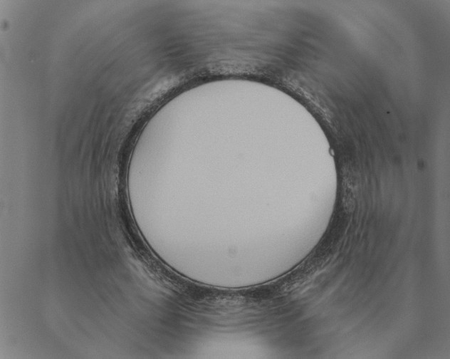 X0000088410631200706191423