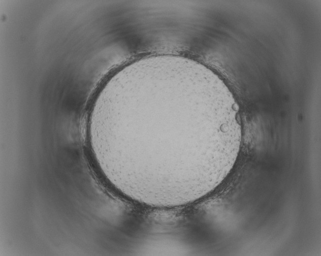 X0000088410632200706191423