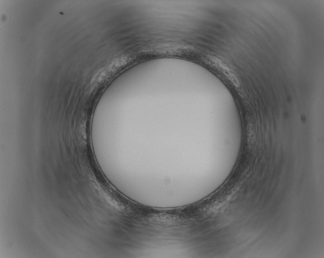 X0000088410633200706191423