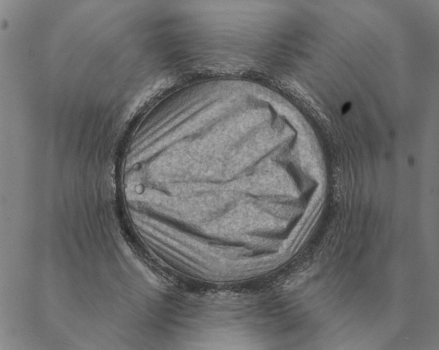 X0000088410634200706191423