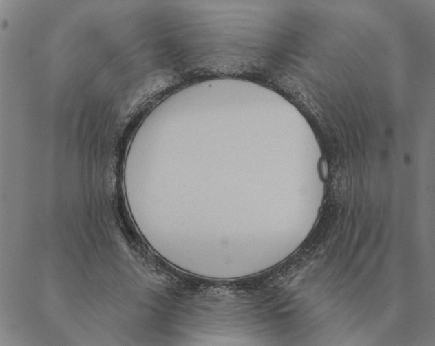 X0000088410635200706191423