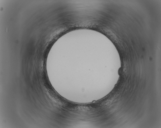 X0000088410636200706191423